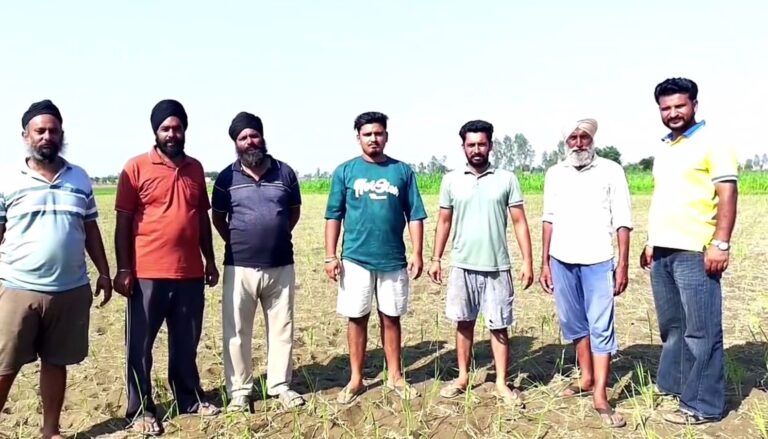 ਗੁਰਦਾਸਪੁਰ ’ਚ ਲੰਬੇ ਬਿਜਲੀ ਕੱਟਾਂ ਤੋਂ ਕਿਸਾਨ ਪ੍ਰੇਸ਼ਾਨ/ ਪੰਜ ਦਿਨਾਂ ਤੋਂ ਨਹੀਂ ਮਿਲ ਰਹੀ ਲੋੜੀਂਦੀ ਬਿਜਲੀ ਸਪਲਾਈ/ 8 ਘੰਟੇ ਨਿਰਵਿਘਣ ਸਪਲਾਈ ਦੀ ਕੀਤੀ ਮੰਗ
