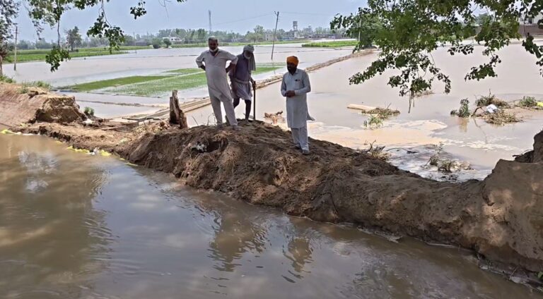 ਫਰੀਦਕੋਟ ’ਚ ਸੂਏ ’ਚ ਪਿਆ ਪਾੜ/ ਸੈਂਕੜੇ ਏਕੜ ’ਚ ਭਰਿਆ ਪਾਣੀ/ ਕਿਸਾਨਾਂ ਵੱਲੋਂ ਮੁਆਵਜੇ ਦੀ ਮੰਗ