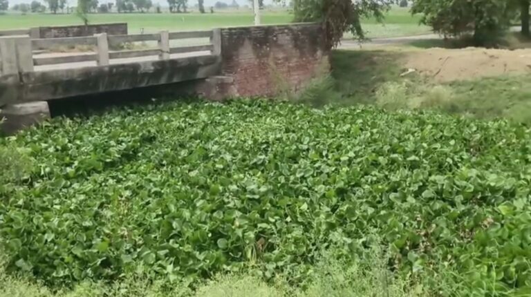 ਬਰੇਟਾ ਡਰੇਨ ਦੀ ਸਫਾਈ ਨੂੰ ਲੈ ਕੇ ਫੁੱਟਿਆ ਕਿਸਾਨਾਂ ਦਾ ਗੁੱਸਾ/ 80 ਏਕੜ ਝੋਨੇ ਦੀ ਫਸਲ ਬਰਬਾਦ ਹੋਣ ਦਾ ਖਦਸ਼ਾ/ ਸੰਪਰਕ ਕਰਨ ਦੇ ਬਾਵਜੂਦ ਸਫਾਈ ਨਾ ਕਰਨ ਦੇ ਇਲਜਾਮ