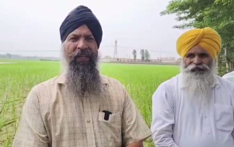 ਗੁਰਦਾਸਪੁਰ ’ਚ ਝੋਨਾ ਕਾਸ਼ਤਕਾਰਾਂ ਦੇ ਮੰਦੜੇ ਹਾਲ/ ਬਿਜਲੀ ਨਾ ਆਉਣ ਸੁੱਕਣ ਲੱਗੀ ਝੋਨੇ ਦੀ ਫਸਲ/ ਛੇਤੀ ਧਿਆਨ ਦੇਣ ਦੀ ਮੰਗ
