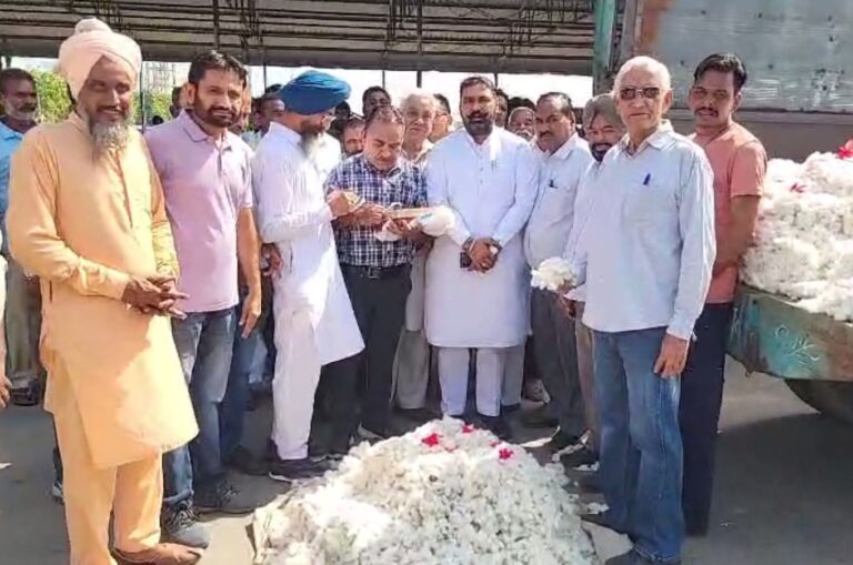 ਮਲੋਟ ਮੰਡੀ ’ਚ ਨਰਮੇ ਦੀ ਆਮਦ ਸ਼ੁਰੂ/ ਪ੍ਰਾਈਵੇਟ ਬੋਲੀ ਚੇਅਰਮੈਨ ਨੇ ਲਾਈ ਬੋਲੀ/ 8431 ’ਚ ਲੱਗਿਆ ਪਹਿਲੀ ਢੇਰੀ ਦਾ ਭਾਅ
